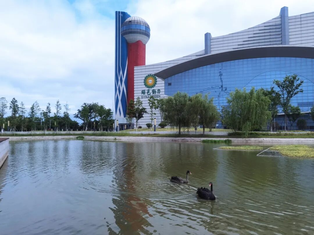 色综合久久久久无码专区