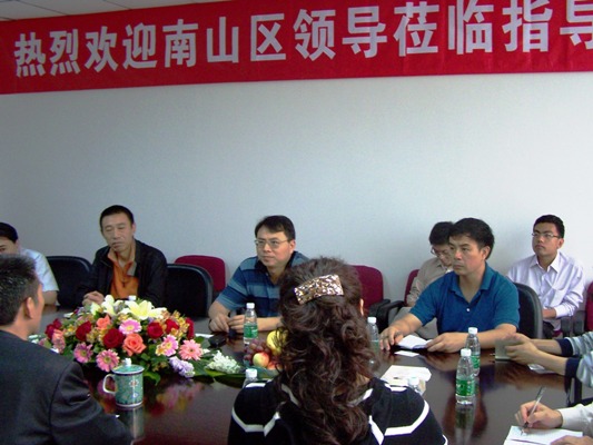 深圳市南山区领导调研考察成品片a免人看免费